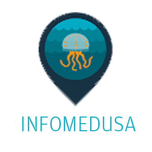 Infomedusa